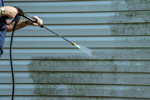 Best Sidewalk Pressure Washing  in Hartington, NE