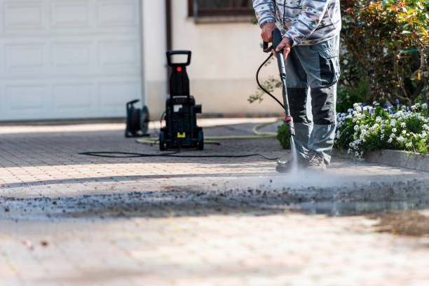 Best House Pressure Washing  in Hartington, NE