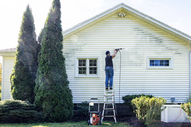 Best Exterior Home Cleaning  in Hartington, NE