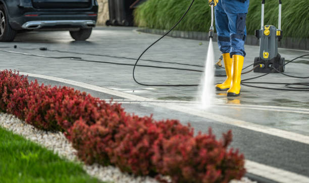 Best Sidewalk Pressure Washing  in Hartington, NE